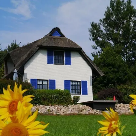 Haus-zauberblau By Interhome *