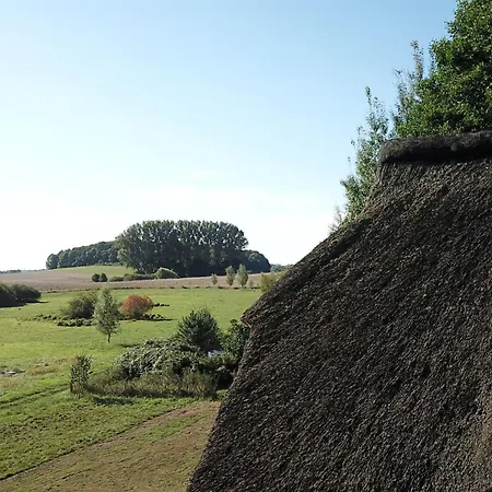 Haus-zauberblau By Interhome Poseritz