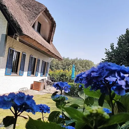 Haus-zauberblau By Interhome Ferienhaus *