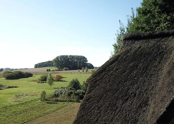 Haus-zauberblau By Interhome Poseritz