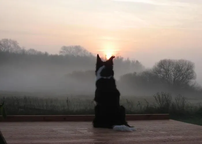 Haus-zauberblau By Interhome Poseritz