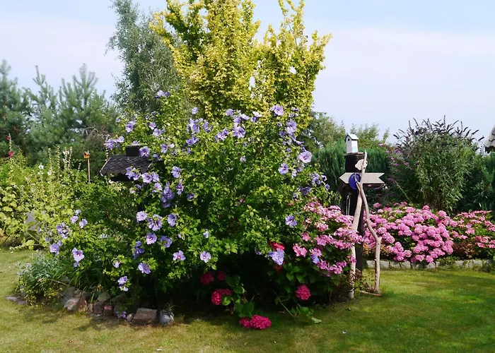 Haus-zauberblau By Interhome