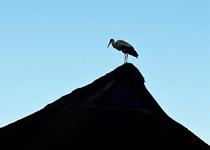 別荘 Haus-zauberblau By Interhome Poseritz