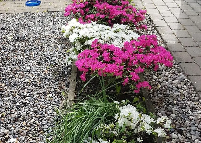 Haus-zauberblau By Interhome 別荘